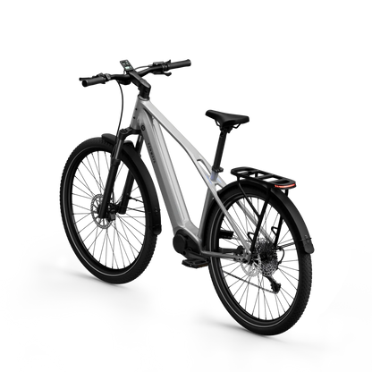 TENWAYS AGO X Special Edition