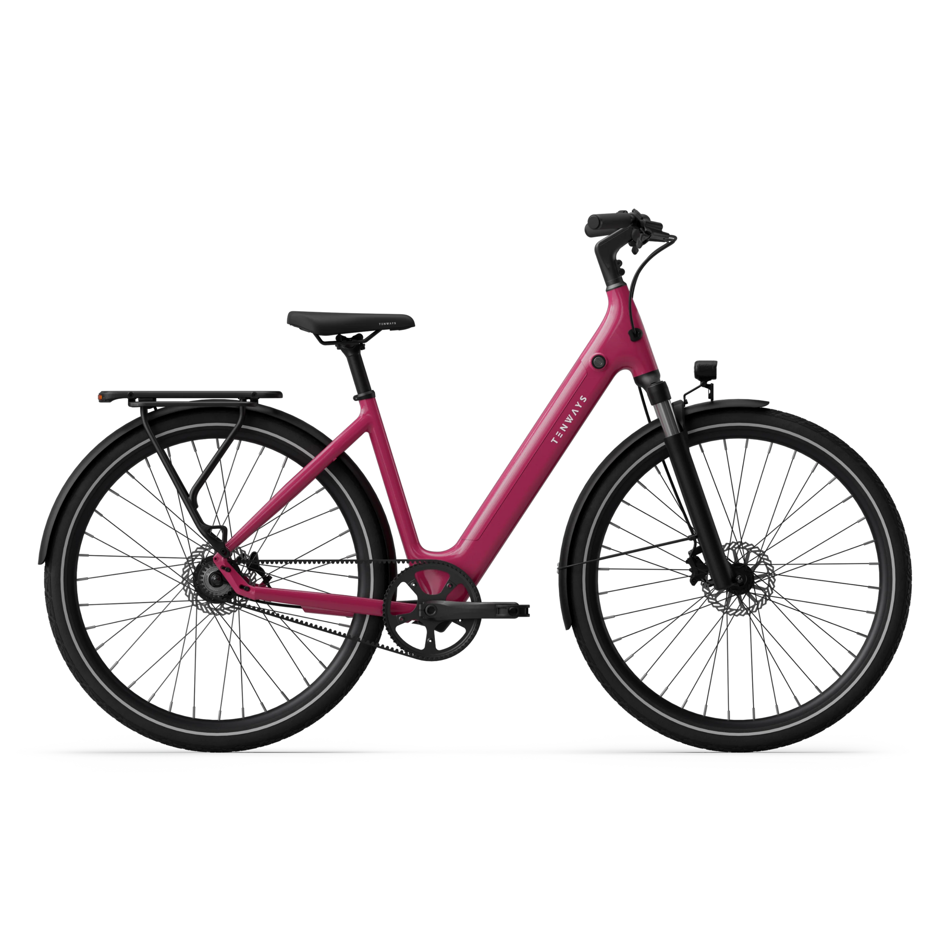 TENWAYS CGO800S Wild Berry