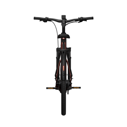 TENWAYS AGO AIR Belt Drive - Velvet Red frame