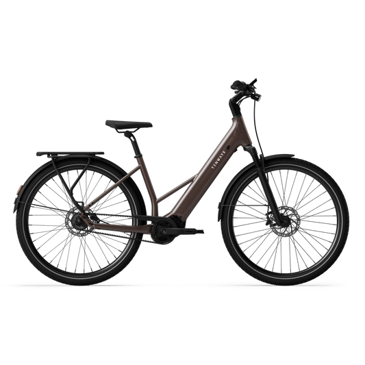 TENWAYS AGO AIR Belt Drive - Walnut Brown