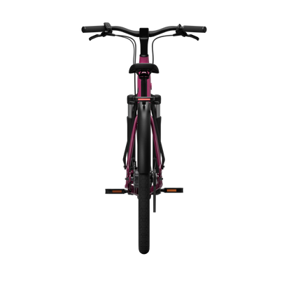 TENWAYS CGO800S Wild Berry
