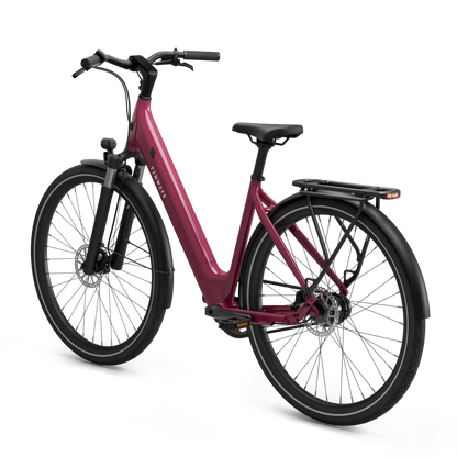 TENWAYS CGO800S Wild Berry